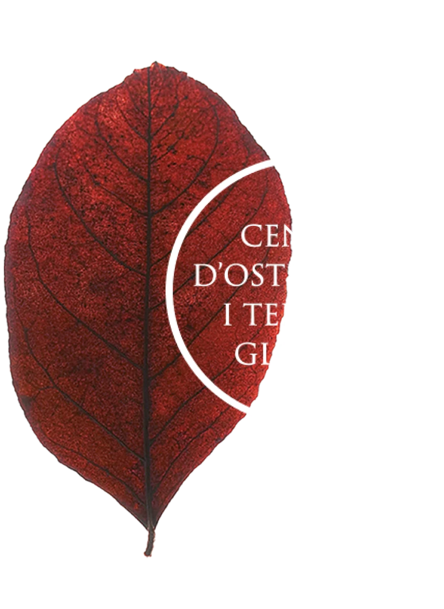 Red autumn leaf overlapped by a white circular logo containing partial French text (logo for a center).