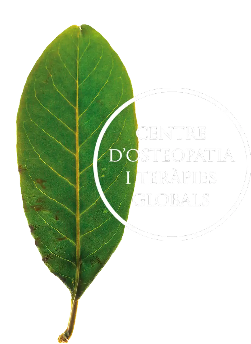 Logo for Centre d'Osteopathia i Terapies Globals featuring a large green leaf and a white circular ring overlapping the text
