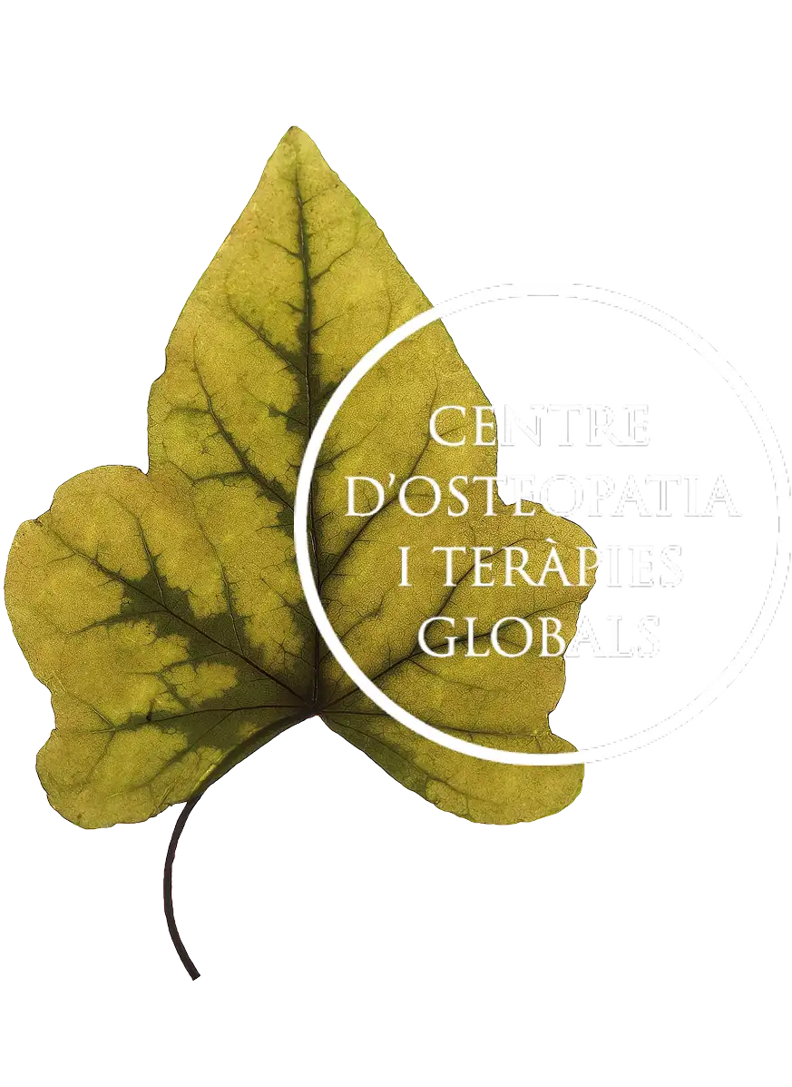 Logo of Centre d'Osteopatia i Teràpies Globals featuring a yellow-green leaf with a white circular ring and overlaid text.